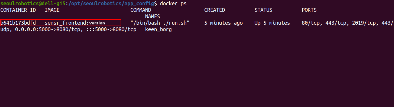 docker container ps